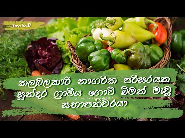 කලබලකාරී නාගරික පරිසරයක් මැද සුන්දර ග්‍රාමීය ගොවි බිමක් මැවූ සභාපතිවරයා