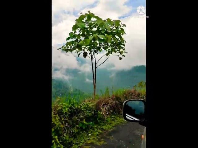 Darjiling trip #shorts