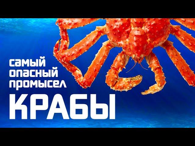 Крабы. Самый опасный промысел