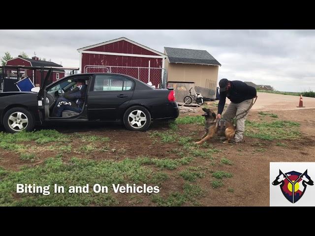 Police K9 Vehicle Deployments  - K9 Sirius - Complete Canine Training