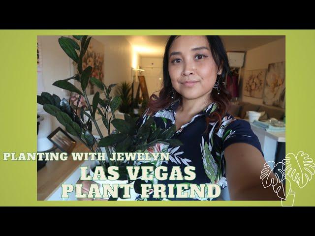 Planting with Jewelyn: Las Vegas Plant friend, my summer 2024 update