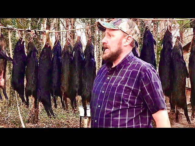 Do wild pigs OVERWHELM me?