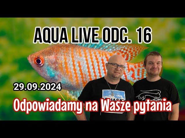 AQUA LIVE ODC. 16 | Rozmowy o akwarium | 29.09.24 |  #aquascapingtv