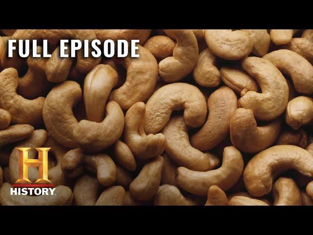 Modern Marvels: Nutritional Wonders of Nuts (S13, E28) | Full Episode | History