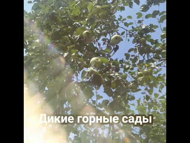 Участки на юге