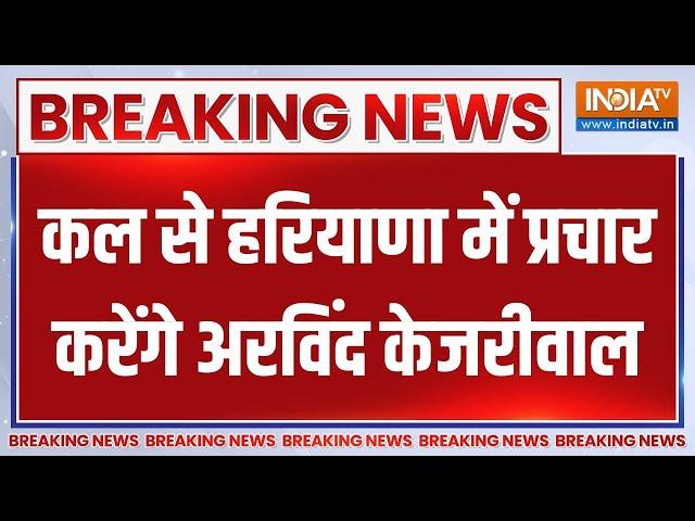 Breaking News : कल से हरियाणा में प्रचार करेंगे अरविंद केजरीवाल | Kejriwal Entry In Haryana Election