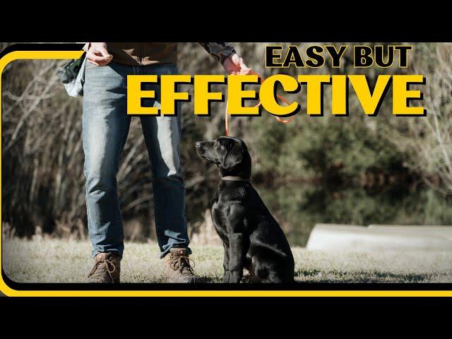 Teach Your Puppy Sit....The Super Easy Way