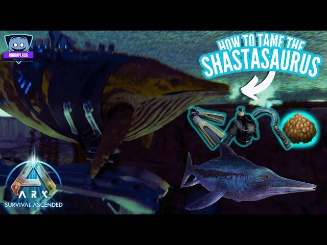 How to Tame Shastasaurus EASY Tutorial | Ark Survival Ascended