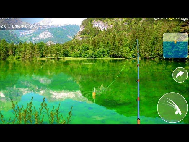 Pike Are Amazing Fish | How to Power Level | My Fishing World