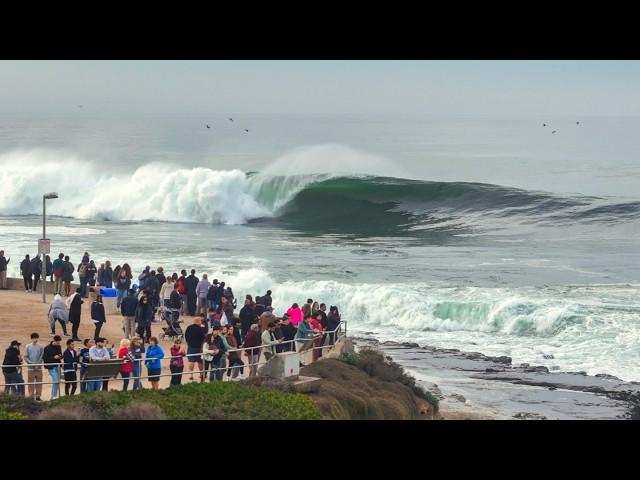 San Diego's BIGGEST SWELL in Years!