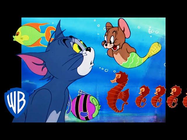 Tom und Jerry auf Deutsch  | Fischige Abenteuer  | WB Kids