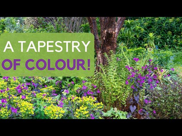 23 stunning ground cover plants - create a tapestry of colour and texture (in difficult places!)