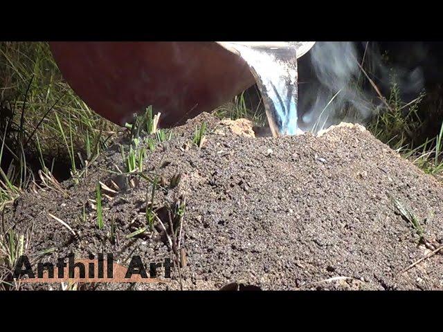 Largest Aluminum Fire Ant Colony Cast So Far (Cast #072)