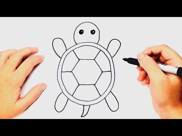 Como dibujar una Tortuga Muy Facil