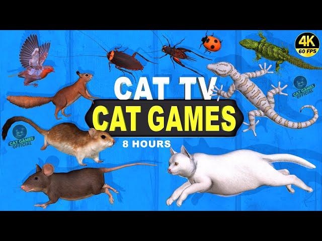 CAT GAMES | BEST CAT TV VIDEO FOR CATS TO WATCH, ULTIMATE ENTERTAINMENT FOR FELINE FRIENDS4K 60FPS