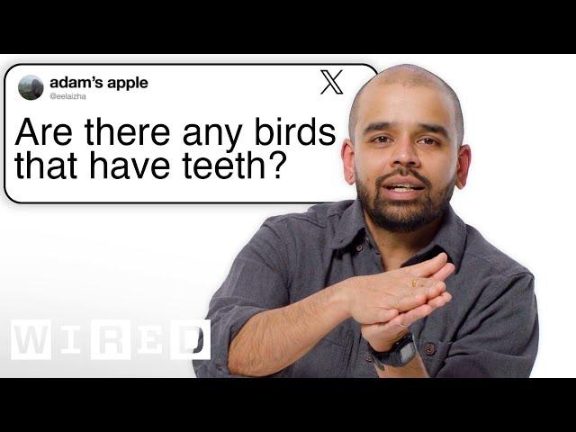 Bird Expert Answers Bird Tweets From Twitter  | Tech Support | WIRED