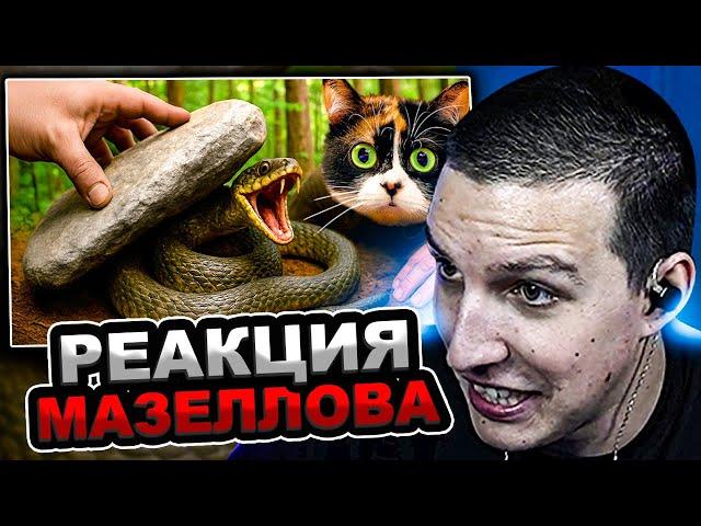 МАЗЕЛЛОВ СМОТРИТ SlivkiShow - Я ПЕРЕВЕРНУЛ 100 КАМНЕЙ В ЛЕСУ, И ВОТ ЧТО ТАМ НАШЕЛ | РЕАКЦИЯ МАЗЕЛОВА