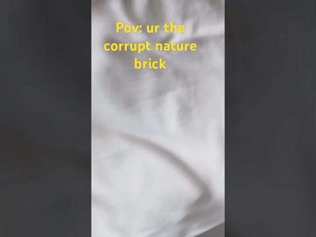 corrupt nature ahh brick