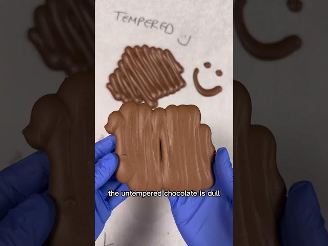 You NEED to do this! Why tempering is important!  #chocolate #satisfying #tiktok #shorts #viral