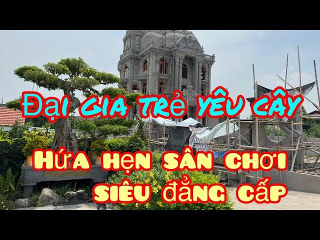 đại gia trẻ mới mua cây sanh nhỏ gần 1 tỉ, giữa trưa nắng phi đi mục sở thị ngay,ngắm dàn cây khủng