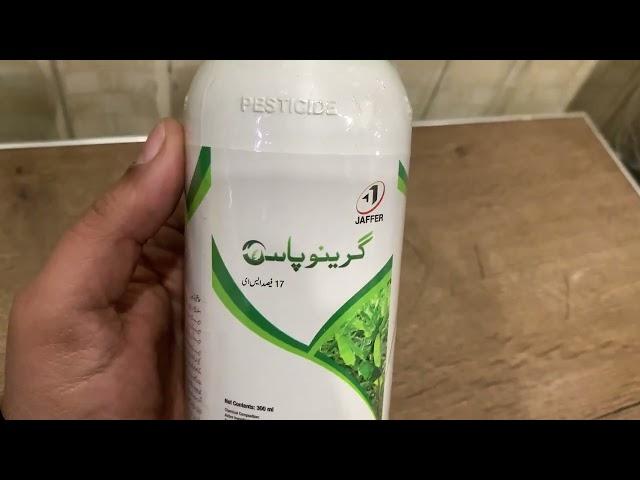 Greenopas jaffer agro is best for wheat yellow rust and grains | Kissan Ghar | wheat disease