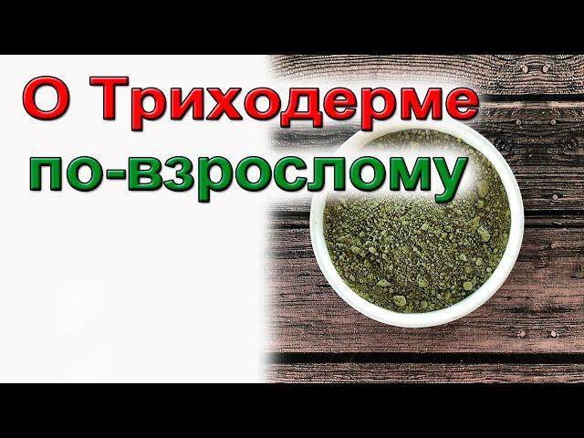 Триходерма. Не мучайтесь с размножением. Посмотрите.