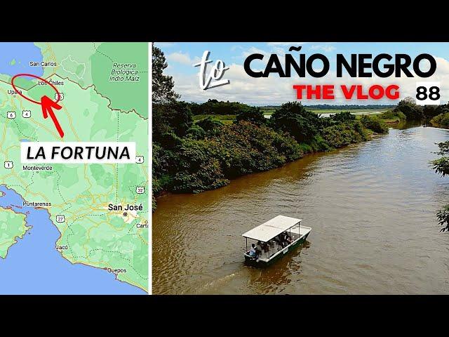 Costa Rica Road Trip Adventure Part 13: Caño Negro, A Bird Watching Paradise