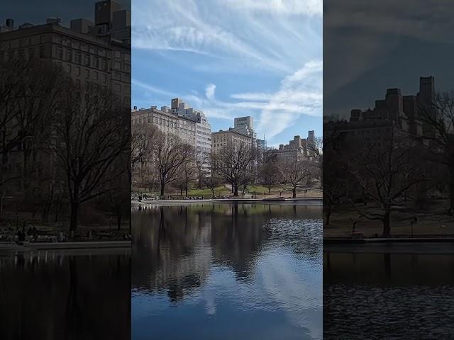 #Shorts little pond in Early Spring Day in Central Park #centralpark #newyork #newyorkcity