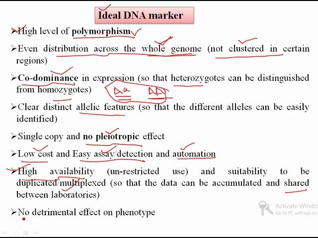 Features of Ideal DNA Marker