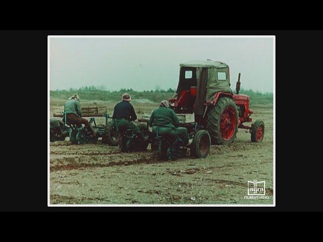 Holzwirtschaft Eberswalde