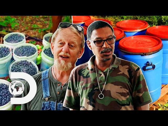 Outdated Beer, Moonshine Boss, Juniper Spirits & More Moonshining Moments | PART 1 | Moonshiners