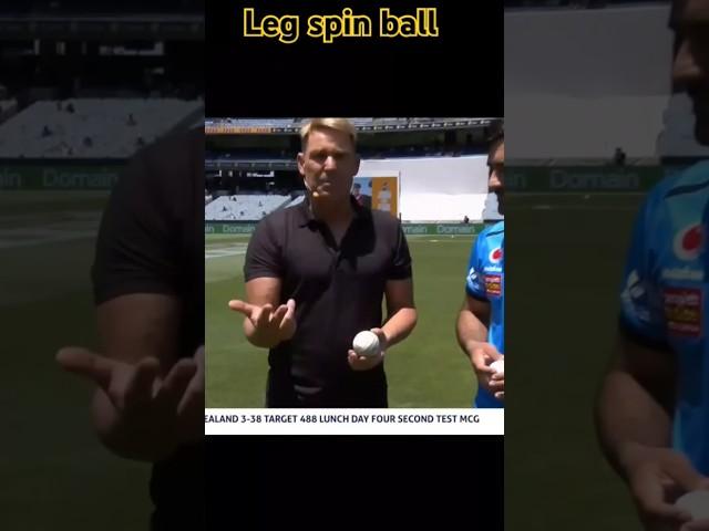 Leg spin ball  #shorts #cricket #cricketlover #bowling #ipl #ytshorts