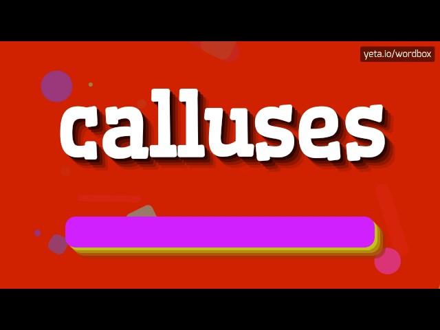 CALLUSES - HOW TO PRONOUNCE IT!?