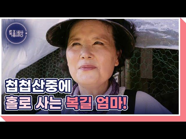 국민 며느리 ＜전원일기＞ 복길 엄마 김혜정, 자연인으로 사는 근황 MBN 241010 방송