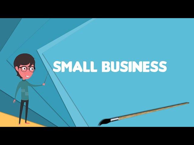 What is Small business? Explain Small business, Define Small business, Meaning of Small business