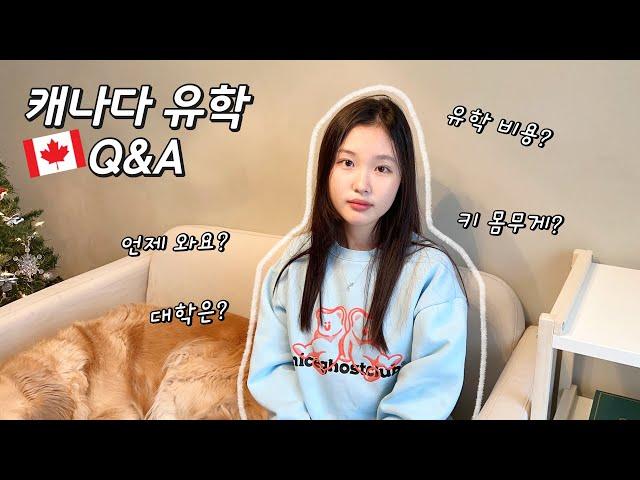 캐나다 유학 Q&A│유학 온지 5개월! 영어는 얼마나 늘었나요? 유학 가는데 얼마나 들었나요? 언제 한국 돌아오나요? 다~ 답해드립니다!│헬로음이유니