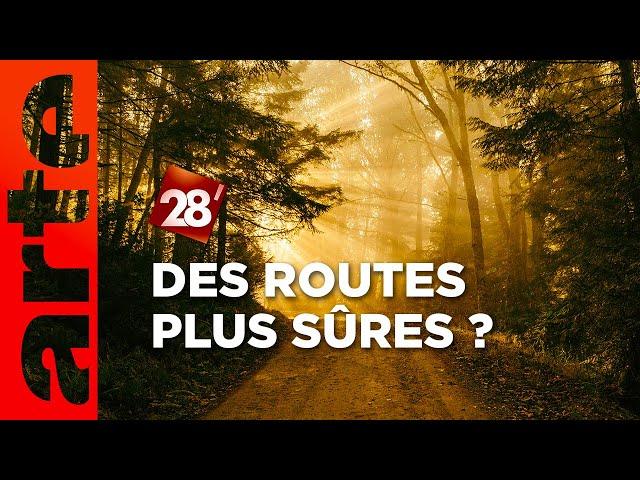 Intéressant : Comment rendre les routes de forêt plus sûres ?  | 28 minutes | ARTE