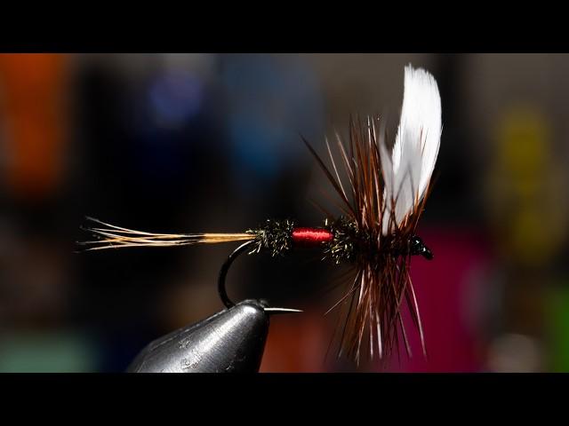 Royal Coachman Dry Fly