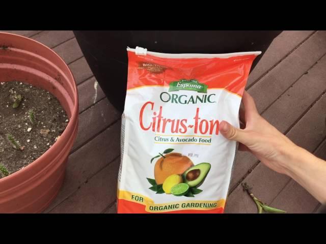 ORGANIC CITRUS FERTILIZER