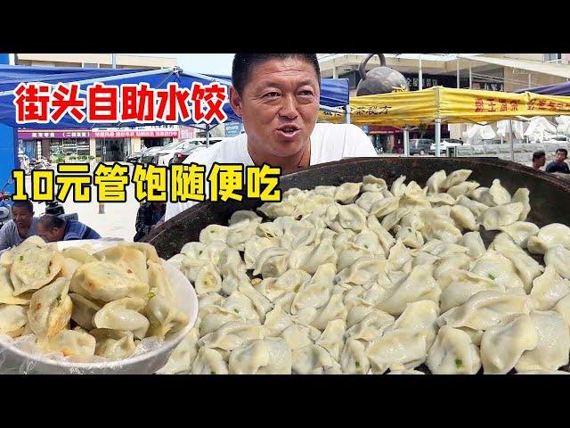 Hengshui street self-service dumplings  10 yuan tube full casually eat meat and vegetable a price