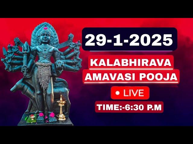 AMAVASI POOJA|29-1-2025|Dr.M.SHIBU NARAYANAN|#kalabhairava #temple