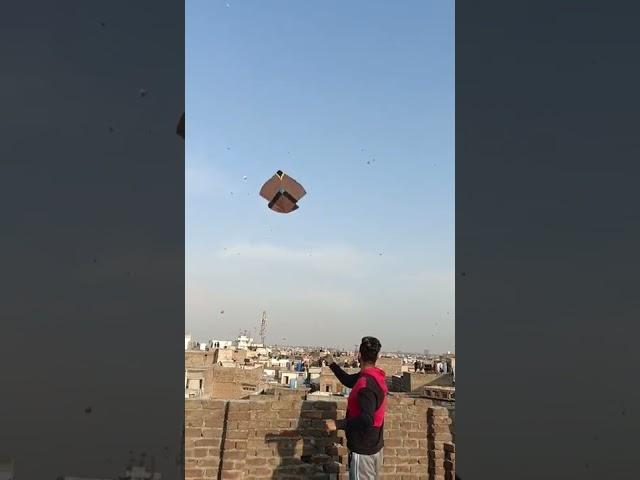 Big Gudda Kite Flying In Rawalpindi Basant 2022 #kite #gudda