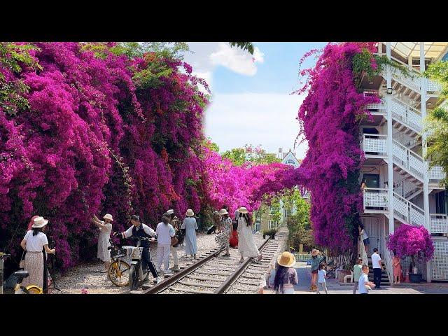 Touring the Triangular Plum Blossom Waterfall in Kunming, China.