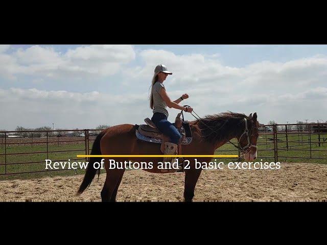 Adult Beginner Western Riding Lessons - Button review and Control exercises