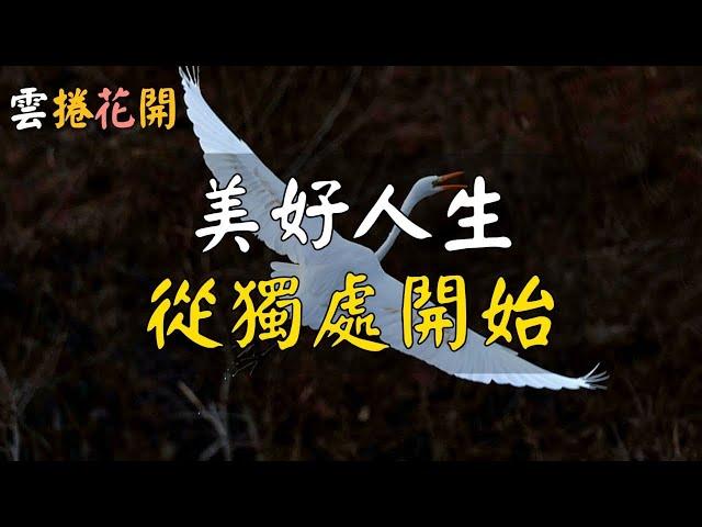 獨處的人生，越活越好！美好人生，從遠離三種人開始！#雲捲花開 #心河渡口