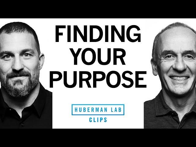 How to Find Your Purpose in Life