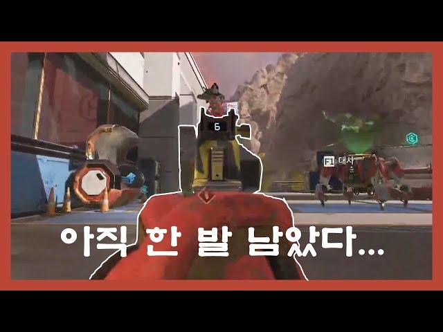 니 명치에 한발