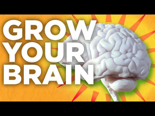 Grow your brain: Challenges Only The Brightest Can Overcome