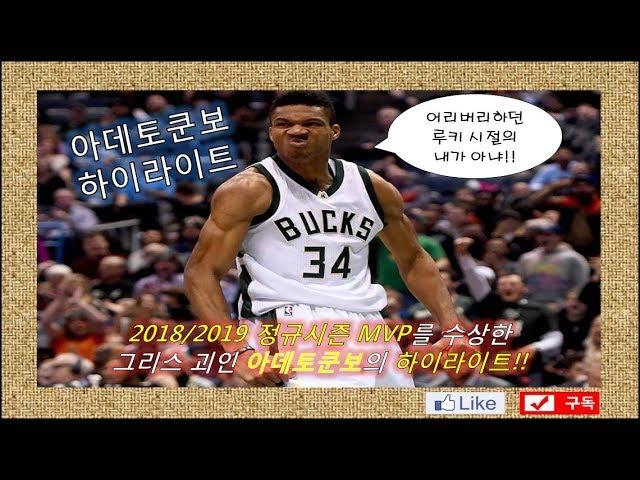 [농구][하이라이트] 2018/2019 NBA 정규시즌 MVP 야니스 아데토쿤보의 하이라이트!!