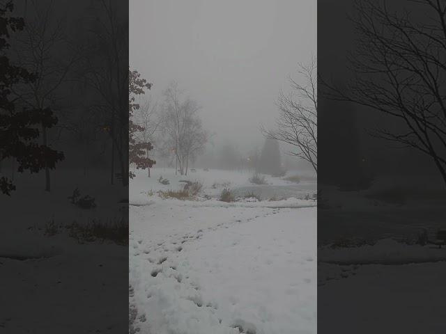 A foggy day in Port Coquilum, BC#nature #travel #fog #bc #britishcolumbia #winter #foggy #weather